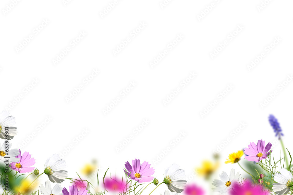 Flower set isolated on transparent background, rose chamomile Azalea hydrangea tulip cut out cutout isolated, summer flowers, png white yellow red pink purpure