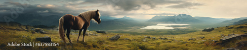 A Banner Photo of a Horse in Nature