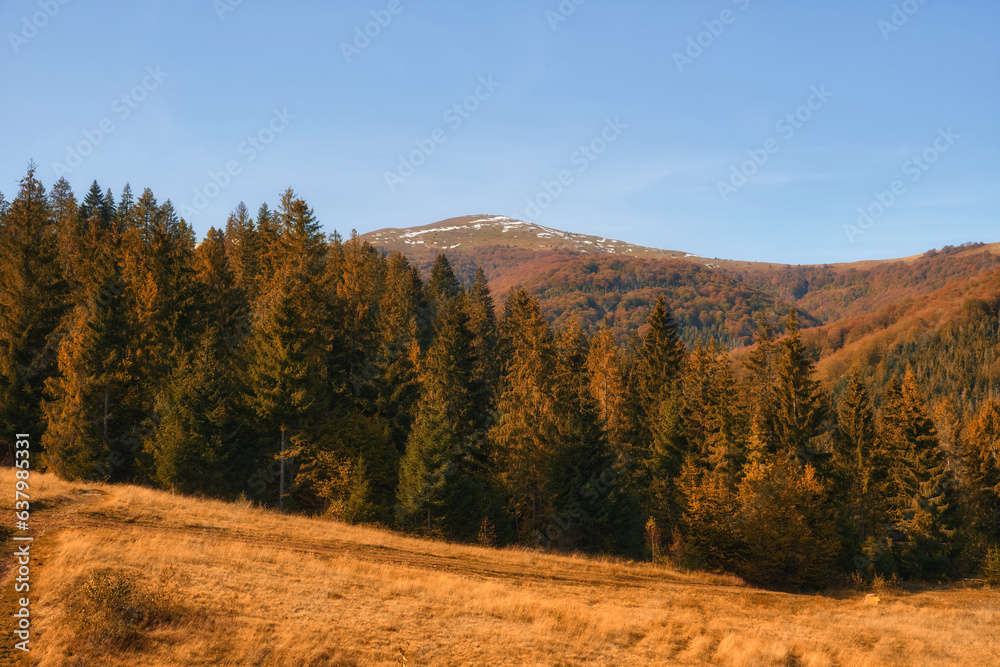 Autumn Tapestry: Majestic Carpathian Peaks Embraced by Vibrant Foliage