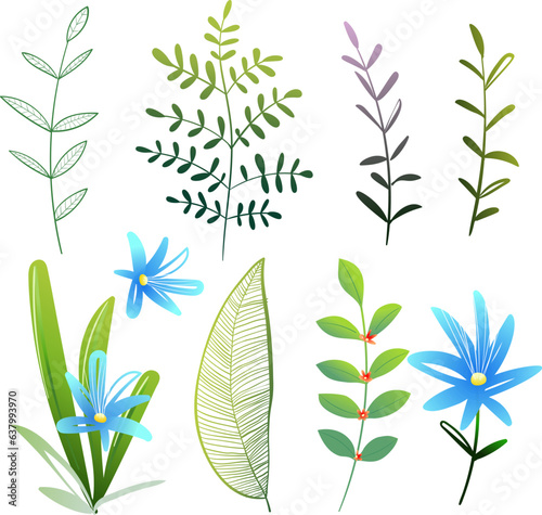 Leaves Flowers and Plants, Botanical Clip Art Collection. Set of nature hand drawn elements for elegant design. Vector hand drawn illustration set in watercolor style.