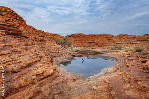 Natural water source located among the arid Kings Canyon  Northern Territory  Australia