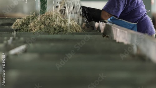 The close up view of the natural rubber sheet cleansing process by the auto industrial cleaning machines in a factory.