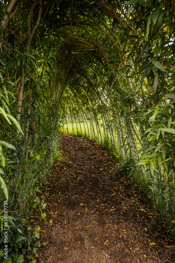 The wigwam is artificially created from green trees. Willow with green leaves The wigwam is artificially created from green trees. Willow with green leaves