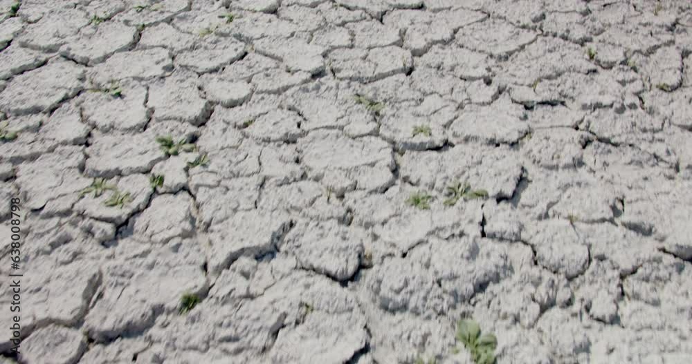 Land with dry and cracked clay ground, forward moving Land with dry and cracked clay ground, forward moving
