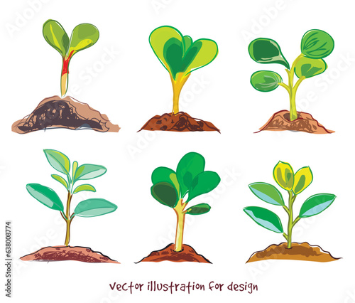 a drawn sketch set of the young growth of a tree