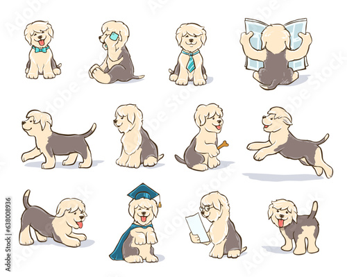 Cartoon dog bobtail puppy set, old English sheepdog sitting, jumping, reading newspaper, with graduation cap, with bow tie, with glasses, vector illustration