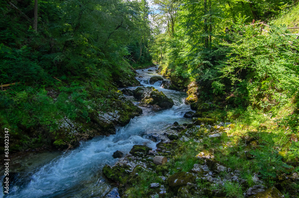 Vintgar gorge amazing cayon with river, rocks and nature, wooden foodpaths leads through wild natural reserve Vintgar gorge amazing cayon with river, rocks and nature, wooden foodpaths leads through wild natural reserve