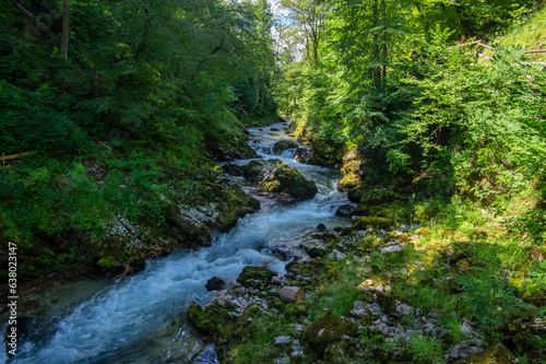 Vintgar gorge amazing cayon with river, rocks and nature, wooden foodpaths leads through wild natural reserve