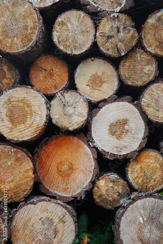 A Pile of Rustic Wood Logs  portrait 