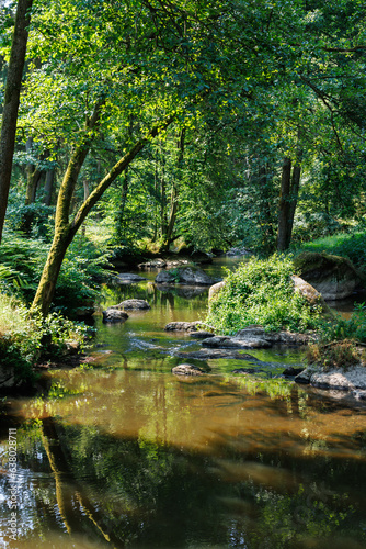 Sommeridylle am Flusslauf im Waldnaabtal