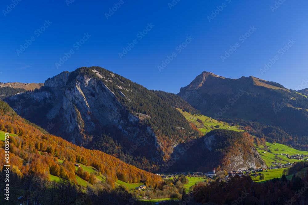 Typical landscape near Damüls, Bregenzer Wald, Bregenz district, Vorarlberg, Austria