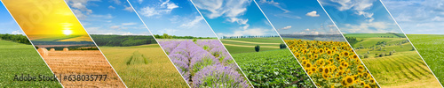 green field and blue sky with light clouds. Collage.Wide photo. © alinamd