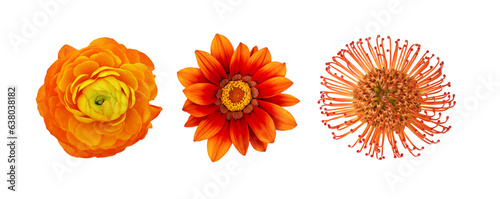 Set of different orange flo...