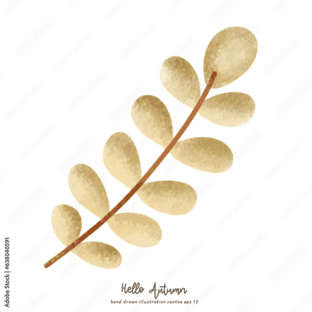 Autumn elements hand drawn in autumn season witn fall plants isolated on white background , illustration Vector EPS 10 Autumn elements hand drawn in autumn season witn fall plants isolated on white background , illustration Vector EPS 10