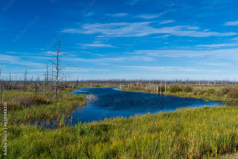 Gorgeous Lake along MacKenzie Highwy in Northwest Territories, Canada