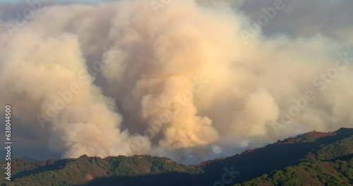 Loma Fire wildfire burning in Santa Cruz Mountains above San Jose with massive smoke plume in late afternoon