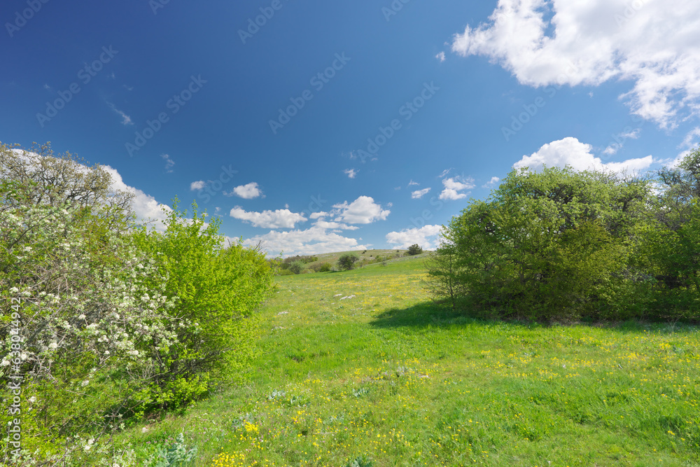 Beautiful spring nature landscape Beautiful spring nature landscape