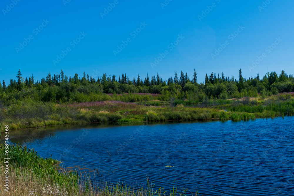 Fototapeta premium Beautiful lake sparkles in sunshine in Behchoko, Northwest territories, Canada