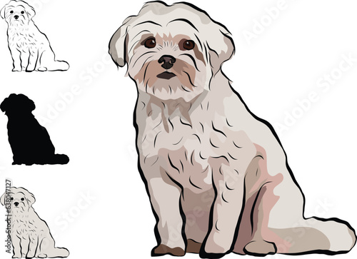 Coton de Tulear Dog Breed. Sitting pose, detailed drawn dog. Cute front view pet. Logo design, dog silhouette, outlines, dog stroke. Pet character postcard art. Funny pet mascot. Shape of the coton.
