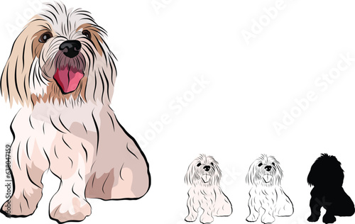 Coton de Tulear Dog Breed. Sitting pose, detailed drawn dog. Cute front view pet. Logo design, dog silhouette, outlines, dog stroke. Pet character postcard art. Funny pet mascot. Shape of the coton.