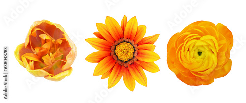 Set of different orange flo...