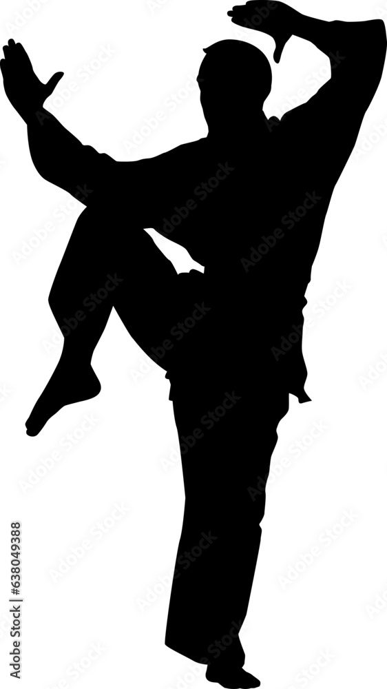 karate silhouette karate silhouette