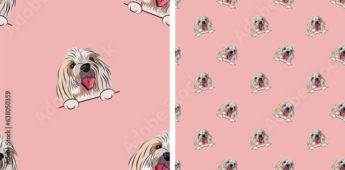 Coton de Tulear Dog Breed. Seamless pattern with dog in a pocket, with paws only. Pink Packaging, textile, decoration, paper. Trendy hand-drawn funny mixed-breed dogs looking out, square pattern.