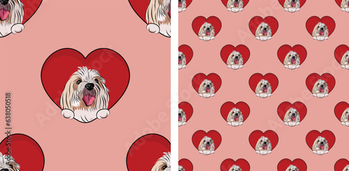 Pattern with Coton de Tulear Dog Breed smiling dog with paws, Valentine's day wallpaper with hearts. Love heart with pet head holiday texture. Dog face looks out a Heart, Cartoon square red background