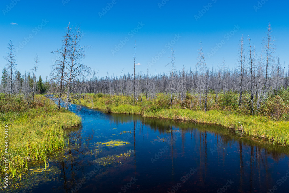 Obraz premium Tranquil river in Wood Buffalo National Park, Northwest Territories, Canada