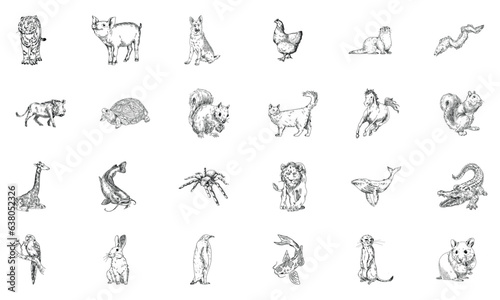 Fototapeta Naklejka Na Ścianę i Meble -  animals silhouette set