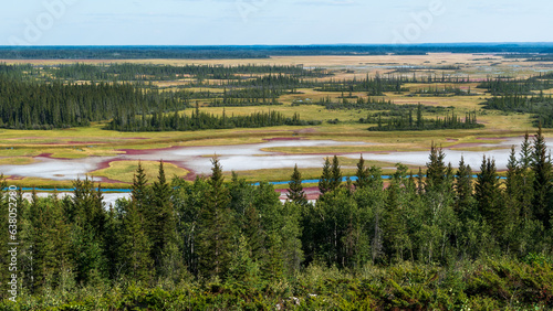 Wallpaper Mural Beautiful crystalline desert salt plains in Wood Buffalo National Park, Canada Torontodigital.ca