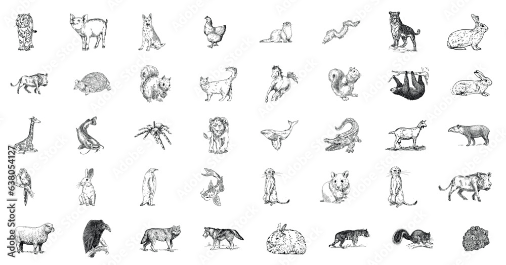 animals silhouette set