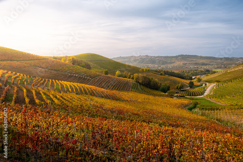Autumn landscape in Langhe, Piedmont, Italy