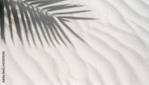 palm leaf shadow on abstract white sand beach background, sun lights on water surface, beautiful abstract background concept