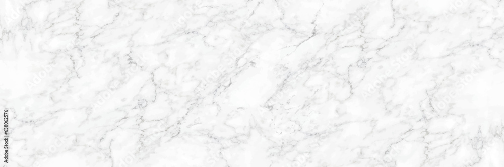 horizontal elegant white marble texture background,vector illustration.
