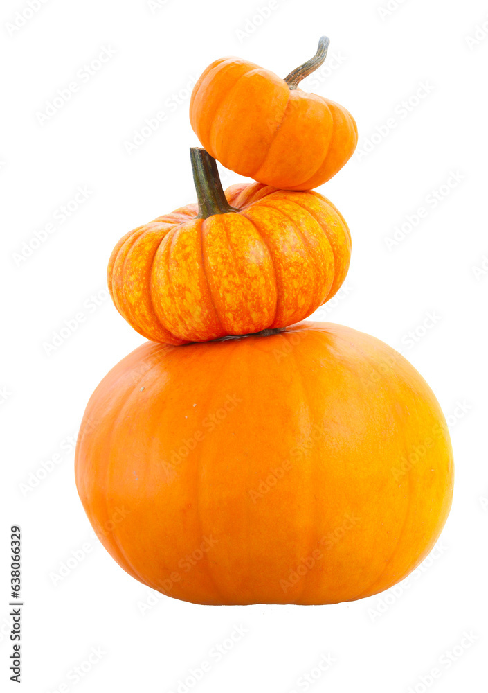 Pile of three pumpkins, isolated on transparent background, png file with transparency Pile of three pumpkins, isolated on transparent background, png file with transparency