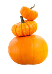 Pile of three  pumpkins, isolated on transparent background, png file with transparency