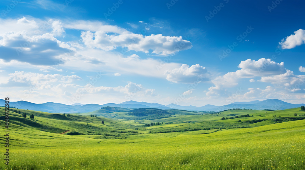 Obraz premium Panoramic summer field illuminated by the soft glow of the sun. A field of lush green grass in a symphony of colors and textures. Idyllic nature setting.