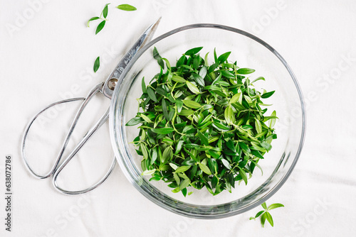 Green myrtle leaves.