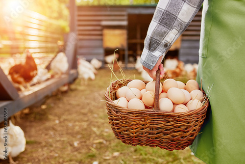 Obraz na płótnie farmer holding goat with eggs in chicken eco farm, free range chicken farm