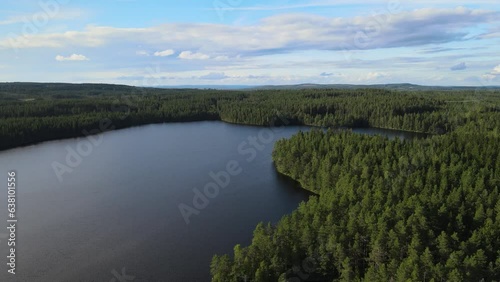 Aerial view of a lake and the surrounding forest in Norway