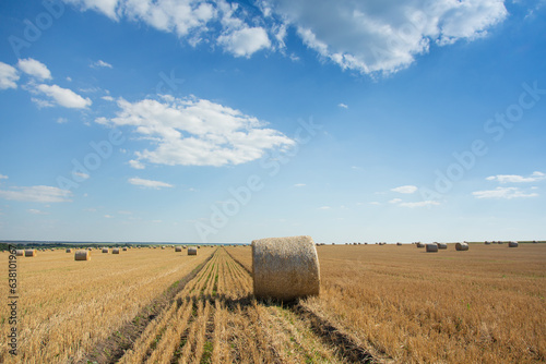 Wheat bales in a clean field after harvest. Rural landscape. Ukraine.