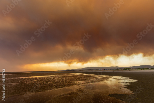 Devastating wildfire in Alexandroupolis Evros Greece, ecological and environmental disaster, smoke covered the sky