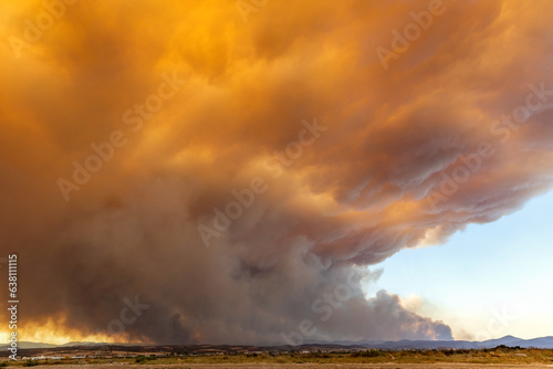 Devastating wildfire in Alexandroupolis Evros Greece, ecological and environmental disaster, smoke covered the sky
