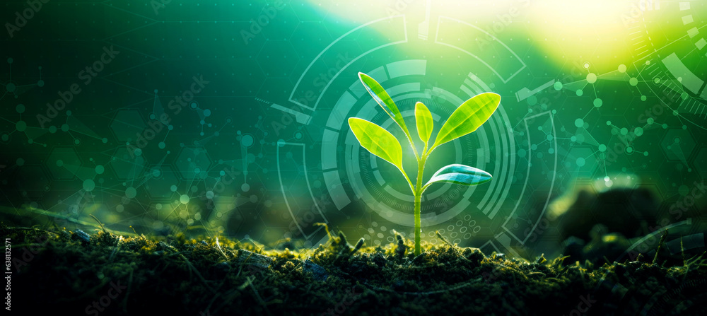 Young Sprout Agricultural Technologies, Scientific Research Banner, Organic Digital Background. Copy Space - obrazy, fototapety, plakaty 