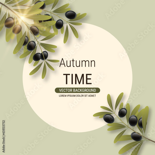 Olive tree branch with leaves and ripe fruits vector illustration. Design for banner, flyer, promo poster, discount card