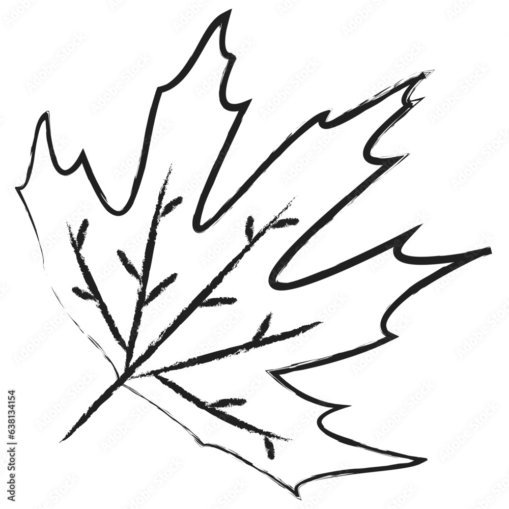Fototapeta premium Hand drawn Leaf icon