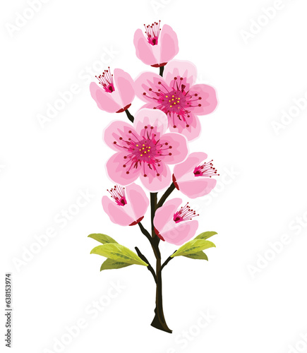 Pink cherry blossom branch in spring, isolated on white, vector illustration
