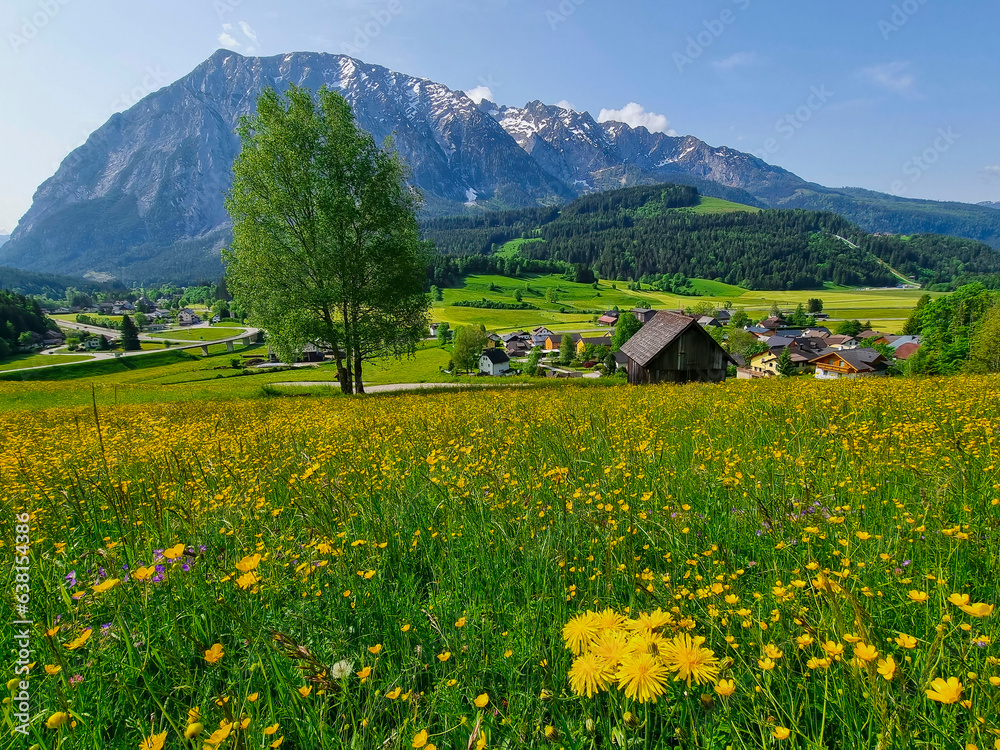 Summer austrian landscape with Grimming mountain (2.351 m), an isolated peak in the Dachstein Mountains, view from small alpine village Tauplitz, Styria, Austria