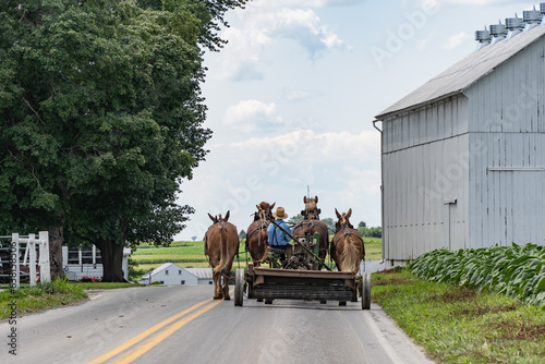 Photography Amish Farmer in Lancaster County, Pennsylvania